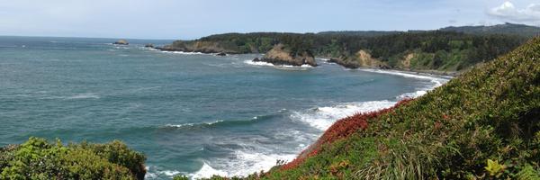 cforchini Profile Banner