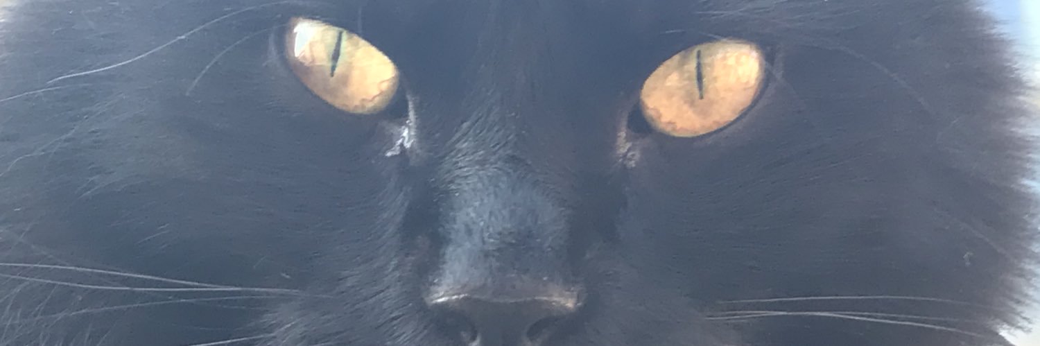 azfa12's profile banner image