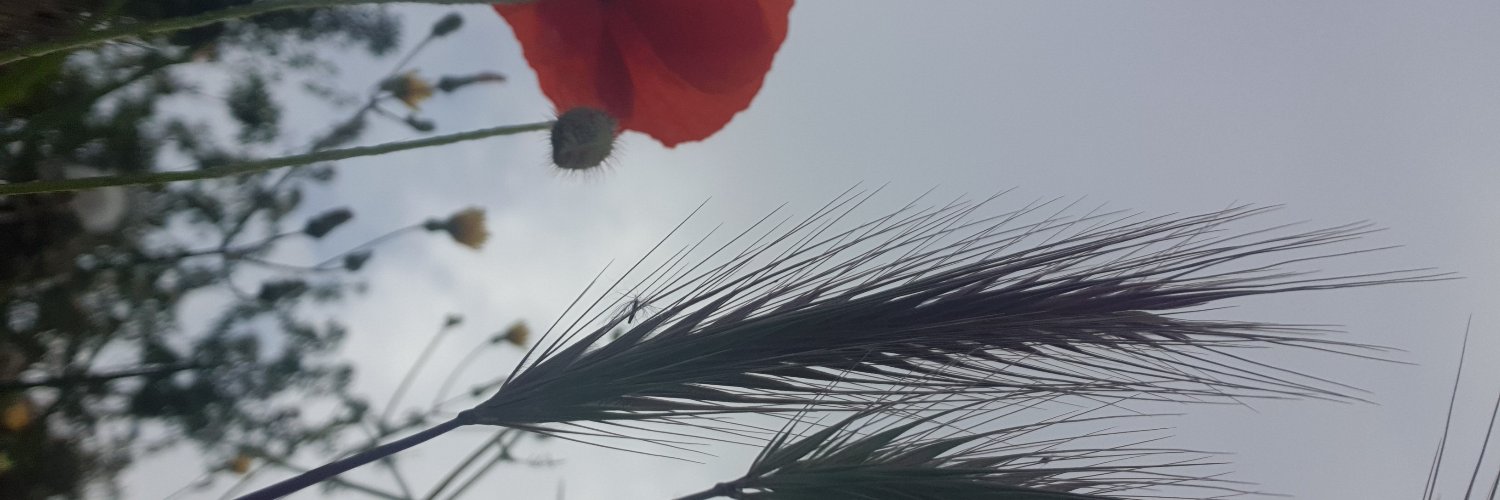 Aleandro_78's profile banner image