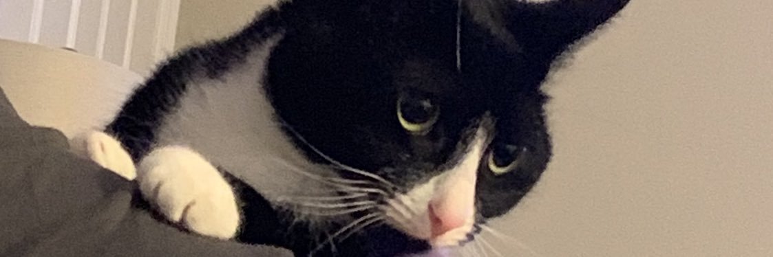 StephHub31's profile banner image