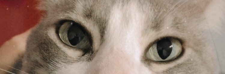 MildredAndrea3's profile banner image
