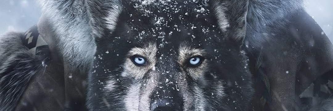 y_sadi's profile banner image