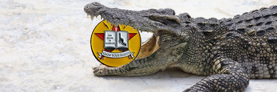 ❤️‍🔥 мυ∂∂у ωαтєя banner