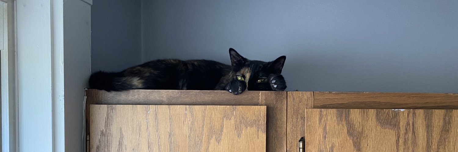 e_wilbs's profile banner image