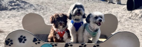 reloop2st Profile Banner