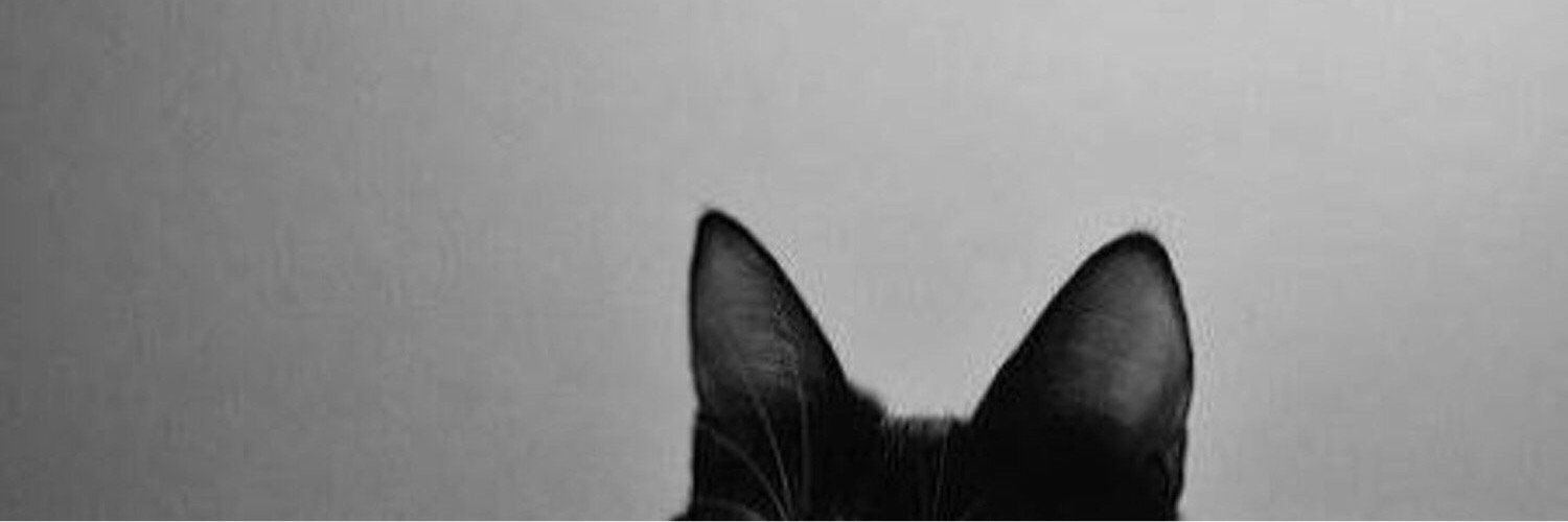 HarryIsAbsent's profile banner image