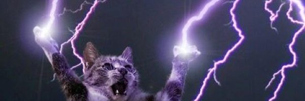 truthorbare Profile Banner