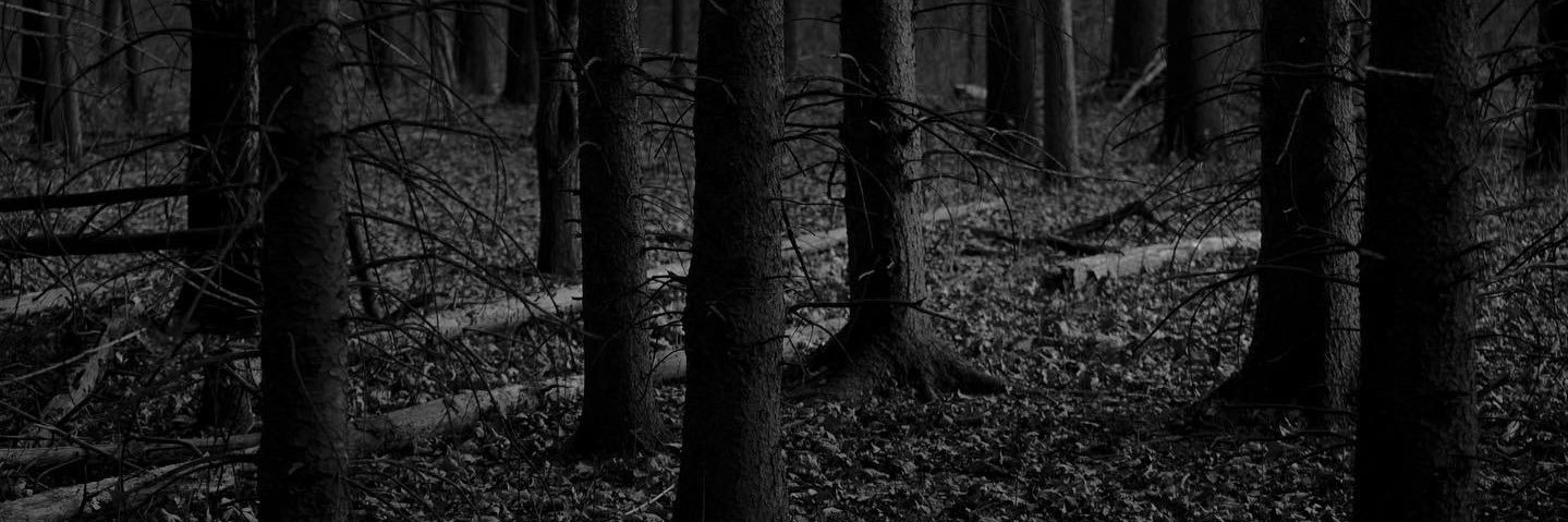 Jacob_Not_Jake's profile banner image