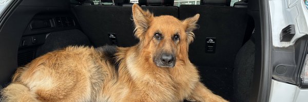 KDWScience Profile Banner