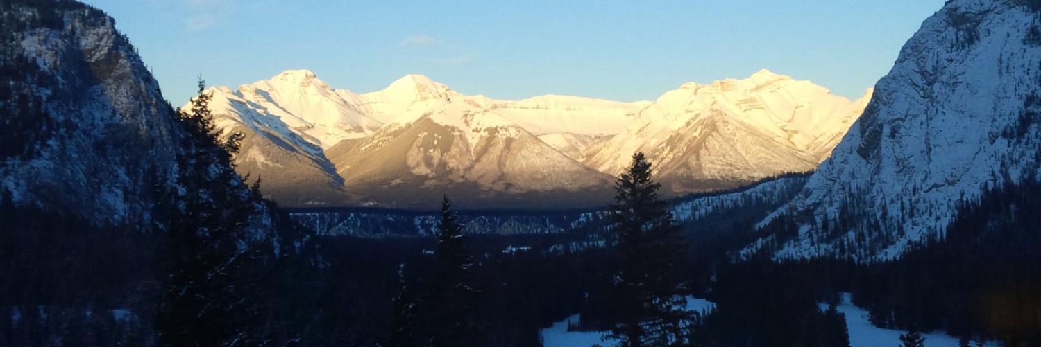 Alec_Bowes's profile banner image