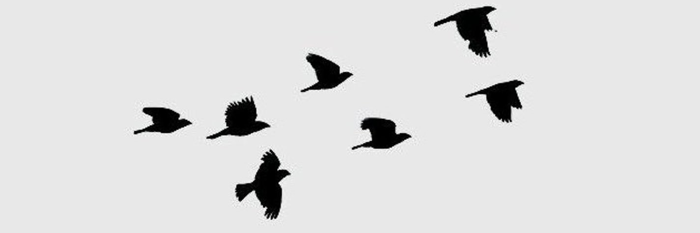 SerenaJThomas's profile banner image