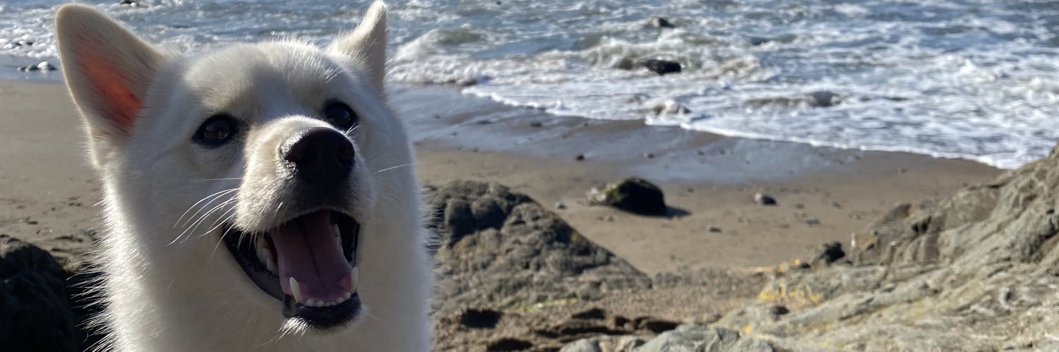 Bailingonyou's profile banner image