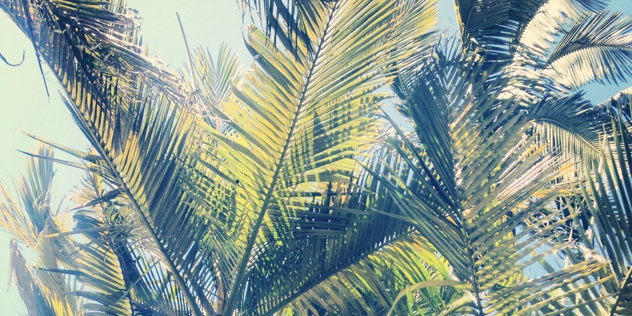 Car_Jackson26's profile banner image