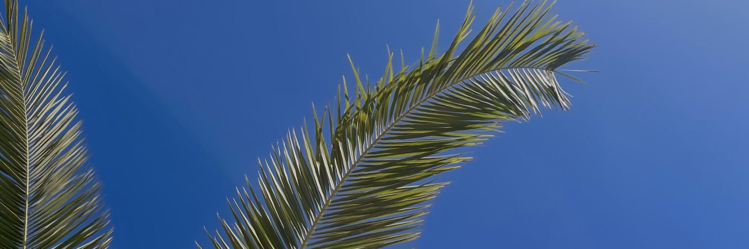 anitadlopez's profile banner image