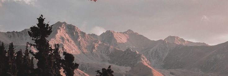 Dan banner