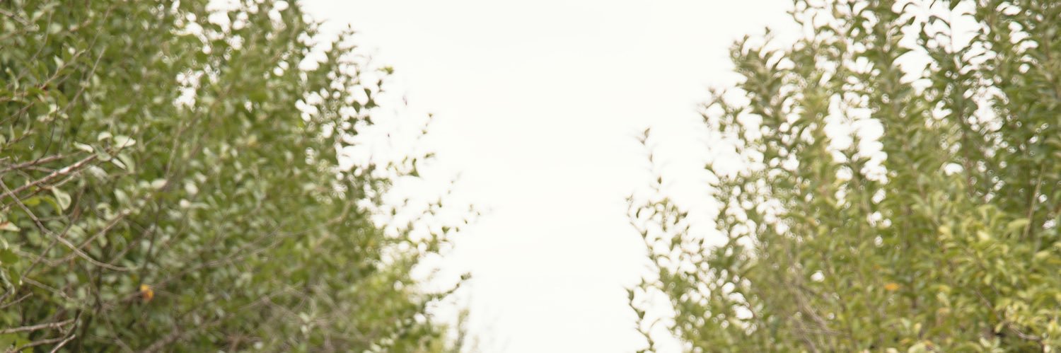 IsernTL's profile banner image