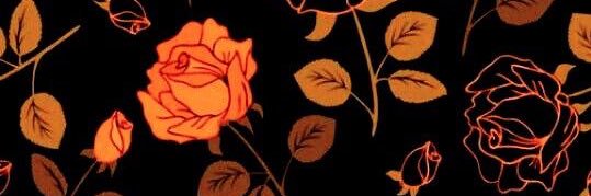 tay_lowery4's profile banner image