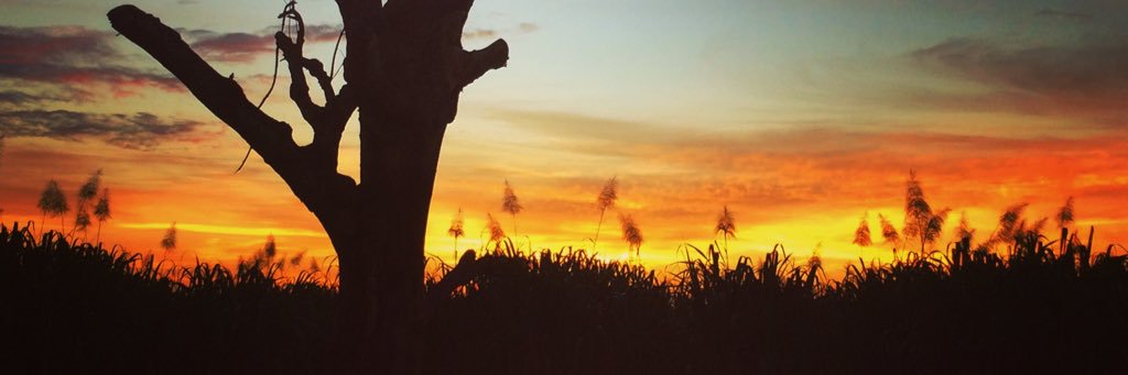 Esther VeryDiana banner