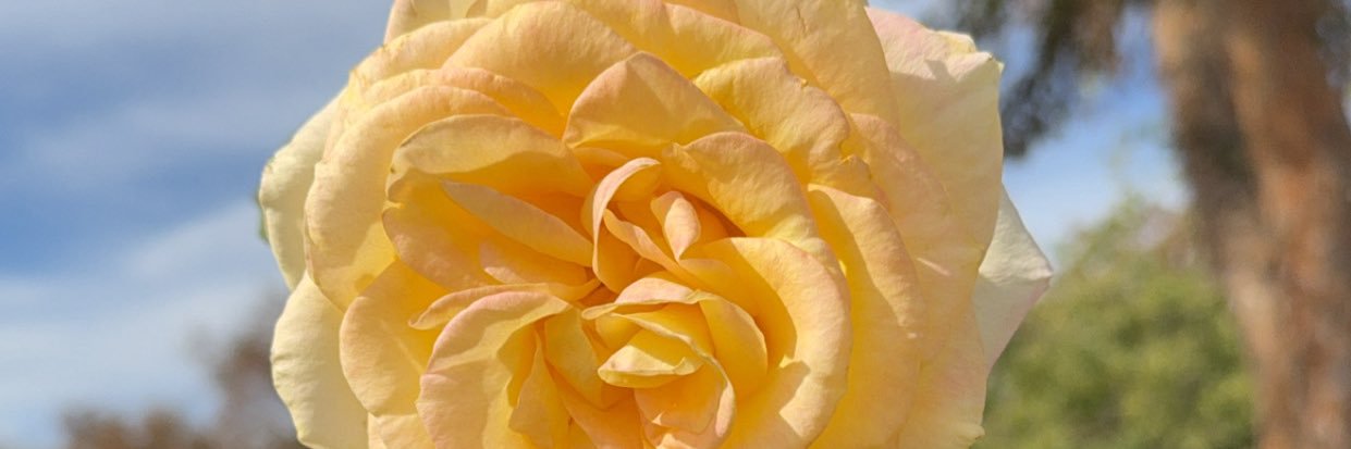 VLW_26's profile banner image