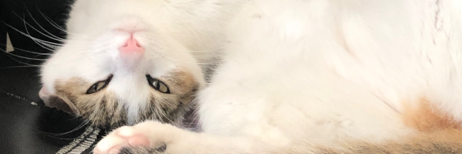 TheEdBed's profile banner image