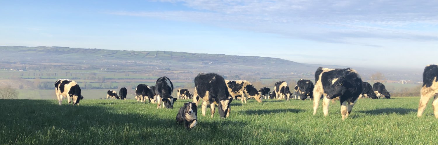 EllenHennessy's profile banner image