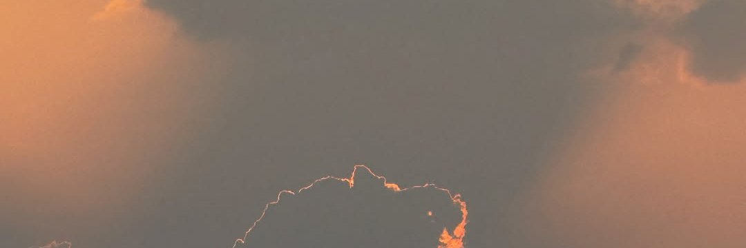 rashathadani's profile banner image