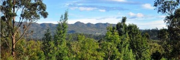 RestrepoJCamilo Profile Banner