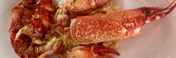 rocpool Profile Banner