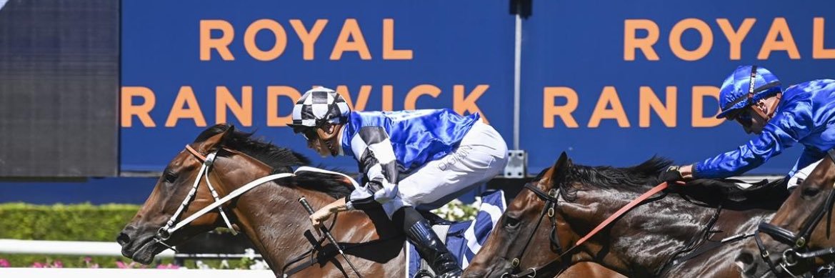 Austbloodstock's profile banner image
