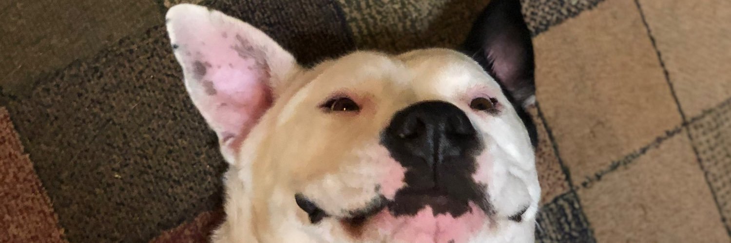 Ostr0's profile banner image