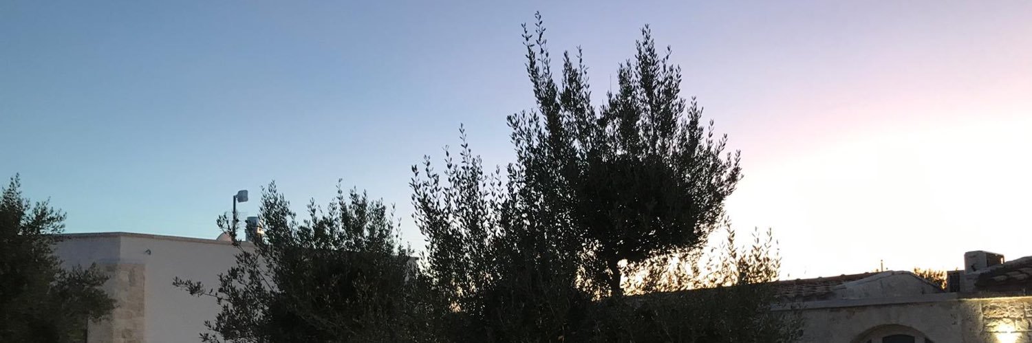 nancy squitieri banner