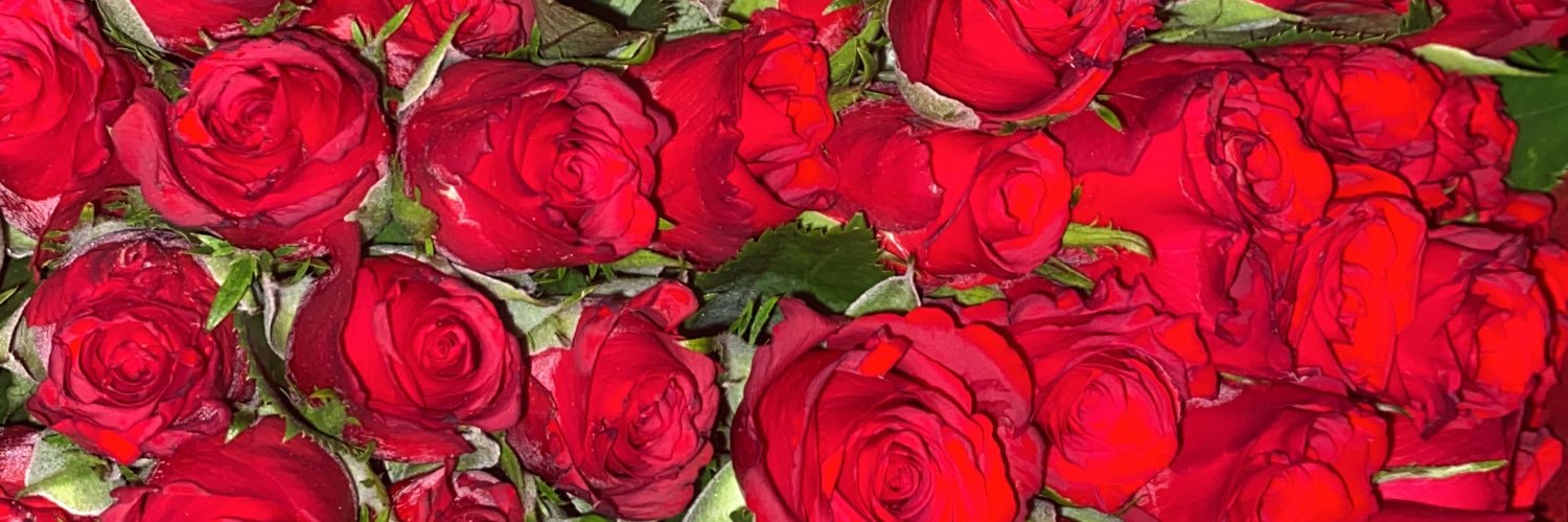 Loveable_Liah's profile banner image