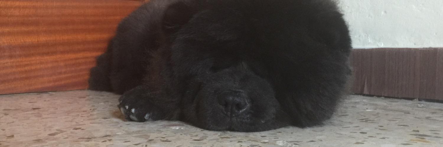 marimergagos's profile banner image