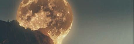 ThatAmbitionis's profile banner image