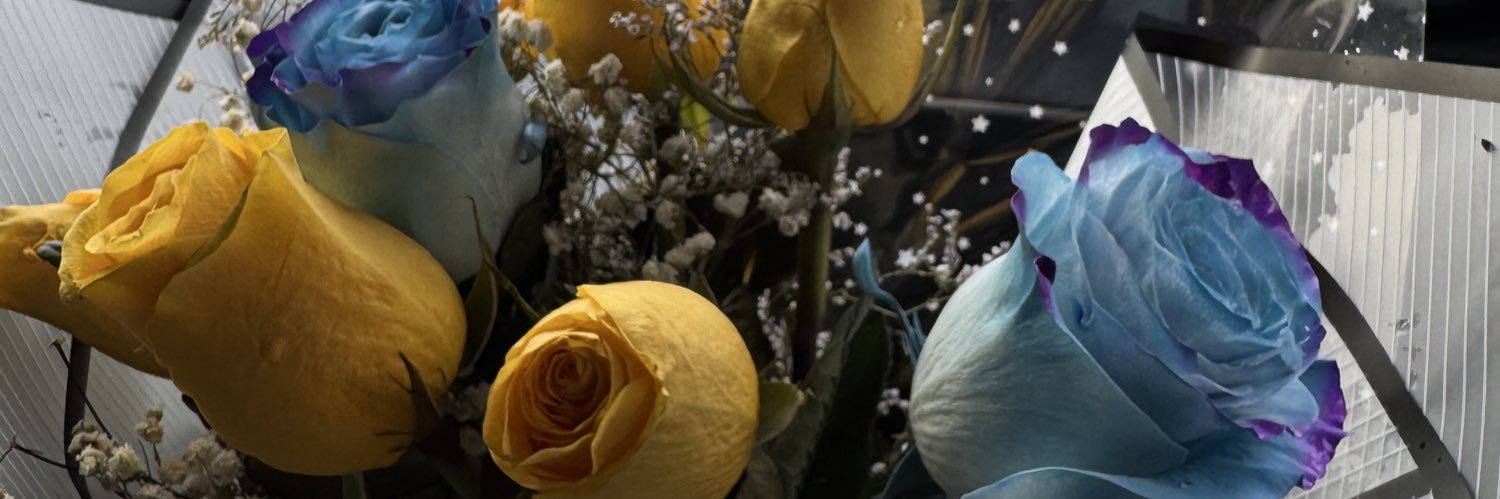 delffivasquez's profile banner image