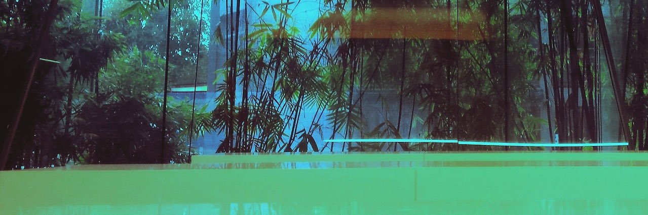 ricokva's profile banner image