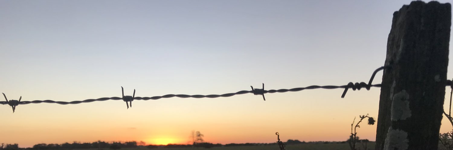 cedilodo's profile banner image