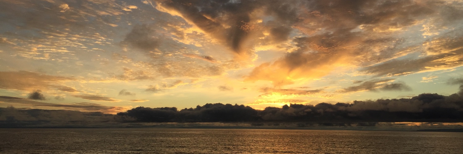 banaox's profile banner image