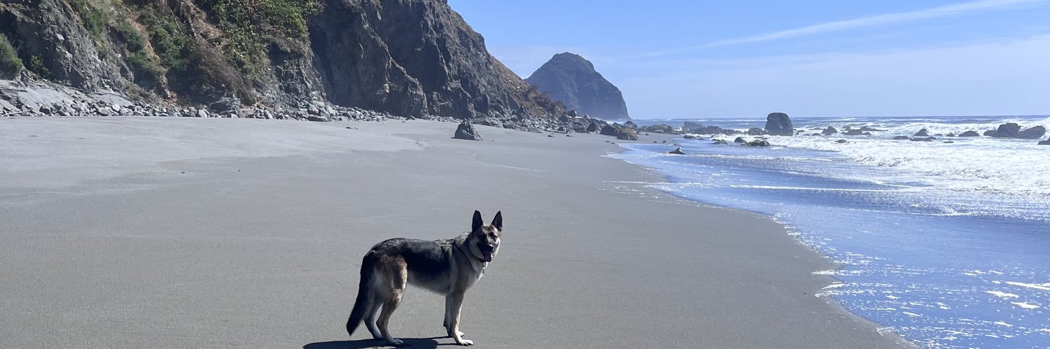 cait_mann's profile banner image