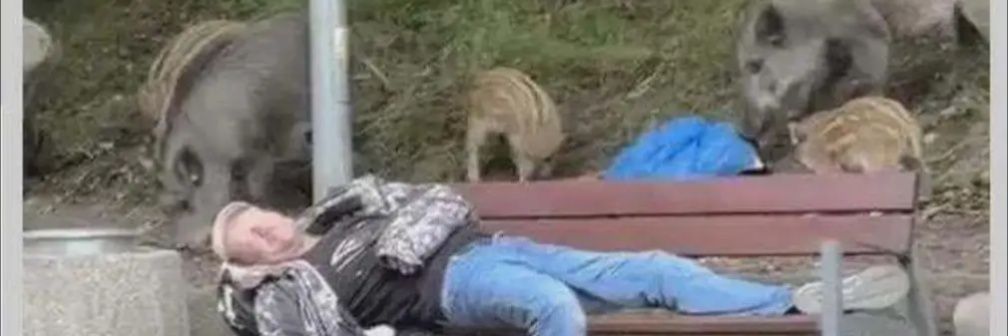 Astrogator ʕ·ᴥ·ʔ ✊🟥 banner