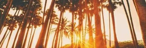 imack29's profile banner image