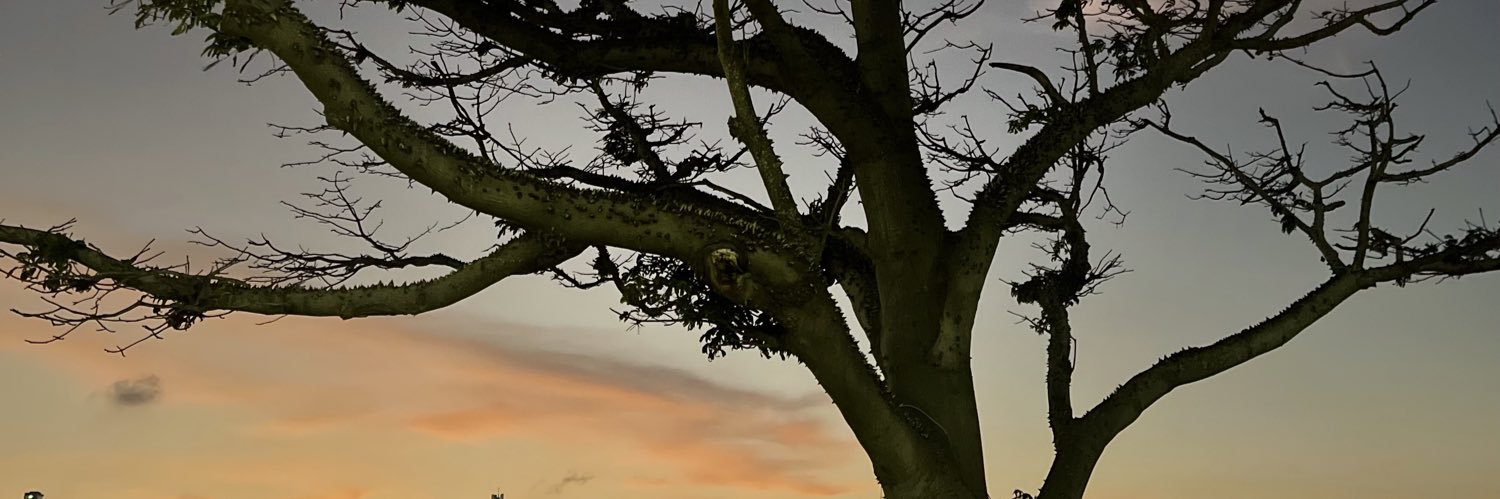 ArqCharris's profile banner image
