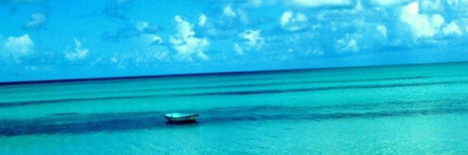 ppmppm07's profile banner image