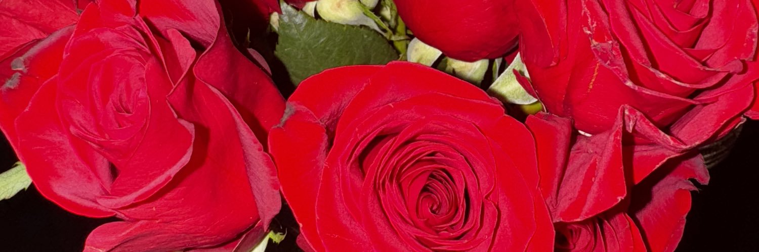 KatrinaBeLike_'s profile banner image