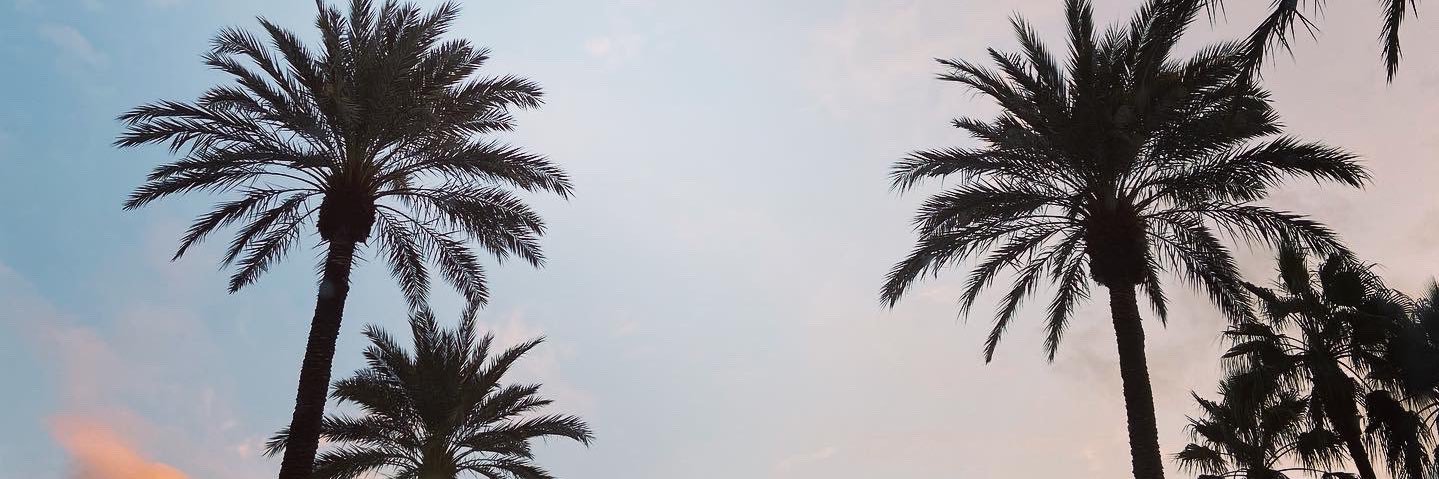 HeyItsWalkiria's profile banner image