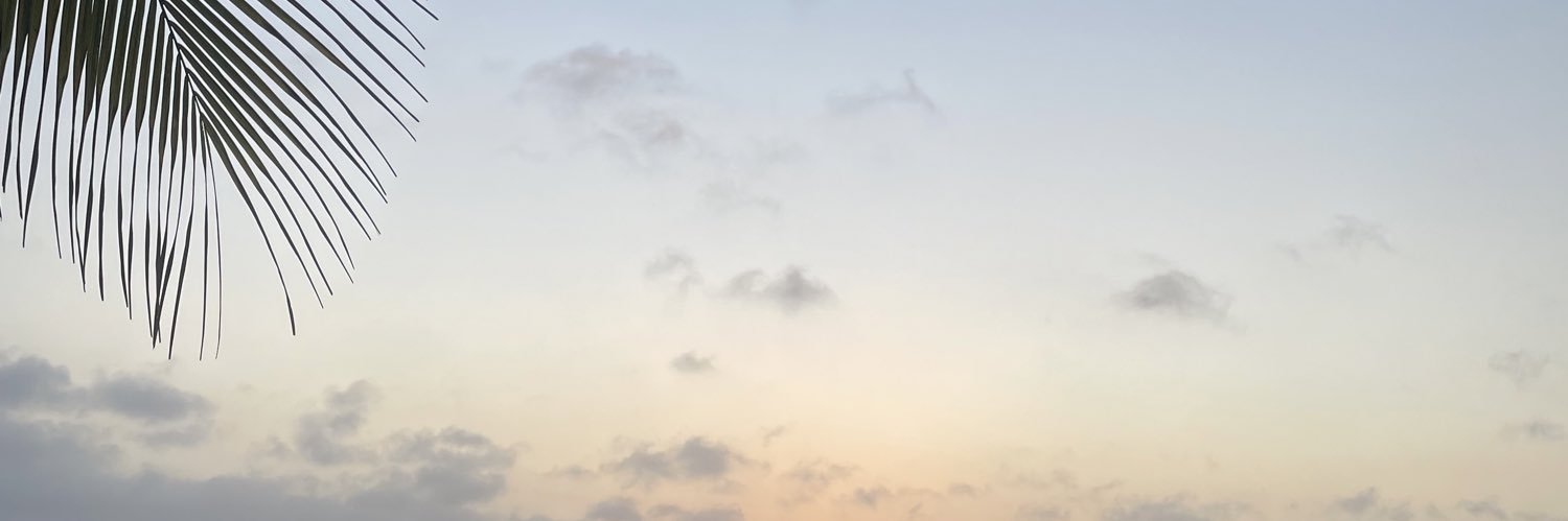 michellem096's profile banner image