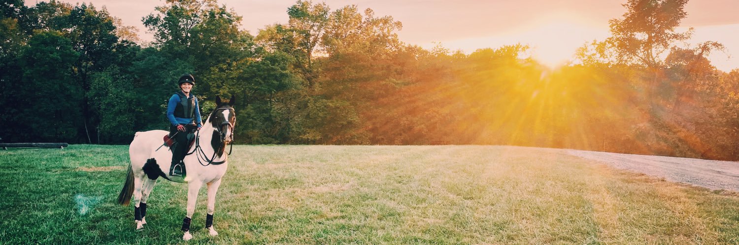 hanakinskywlkr's profile banner image