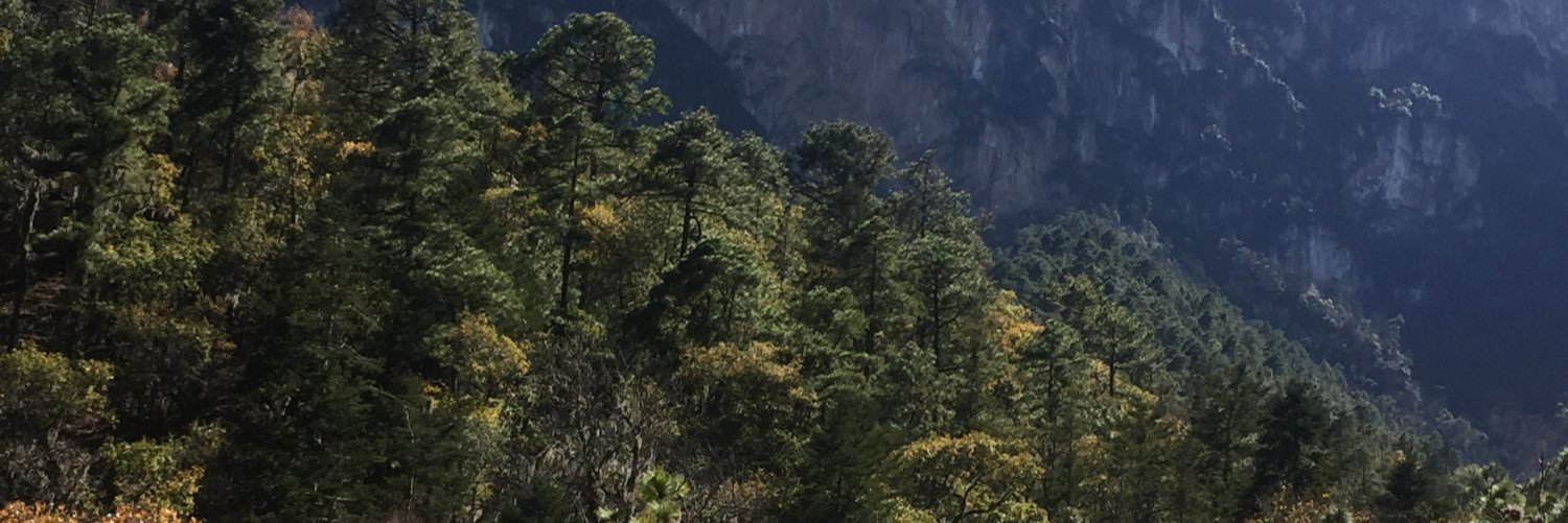 pa_ally's profile banner image