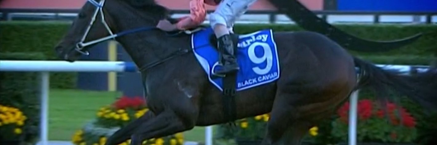 Art Martineau banner