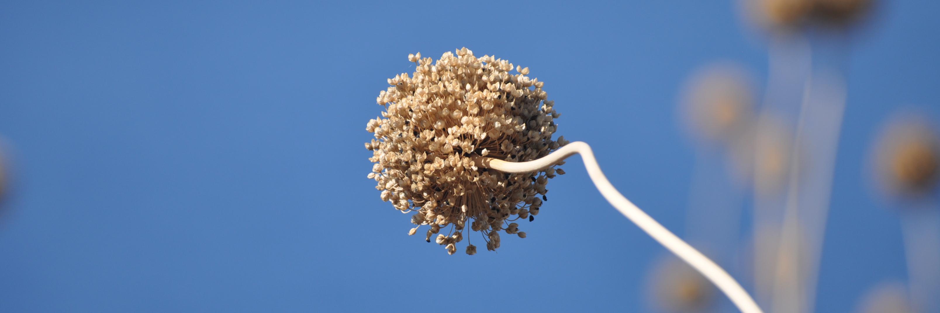 Maria Pia Tucci banner